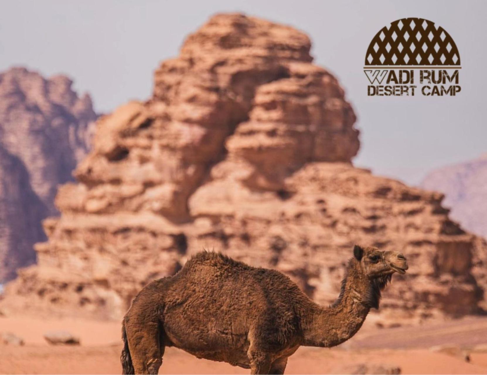 Rum Mere Luxury Camp Wadi Rum Eksteriør bilde